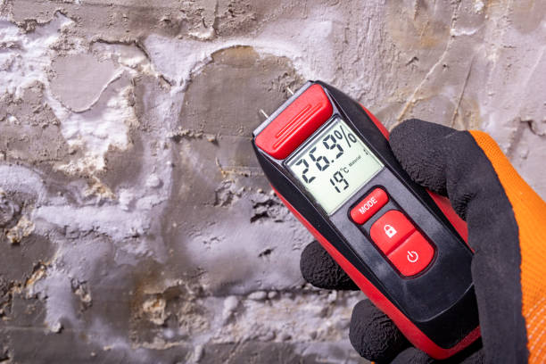 Best Post-Flood Mold Remediation in West Bountiful, UT